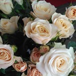 Bali Roses Branchues d'Equateur Ethiflora